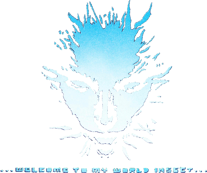 Shodan Image
